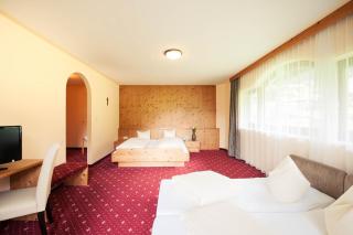 Hotel Steuxner - 8