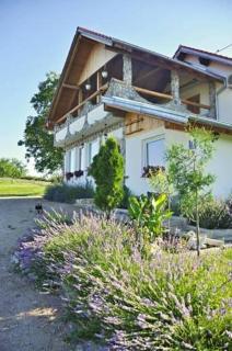 Apartment in Rakovica with balcony, air conditioning, Wi-Fi (601-2) - Rakovica - 4
