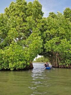 The Munroe Vibes Inn - Munroe Island - 6