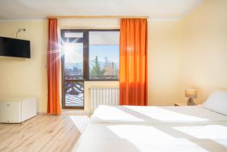 Dolna Bania Hotel - Dolna Banya - 9