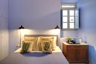 Cactus Hydra - Art Apartments - 7