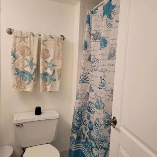 Direct Oceanfront With Balcony - Daytona Beach - 5