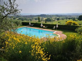 Poggio Olivo - Acquaviva - 2
