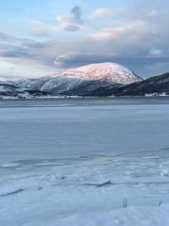Trivelig fritidshus på Årnes, Senja - Straumstad - 8