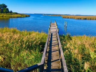 Holiday Inn Express Annapolis East-Kent Island by IHG - Grasonville - 6