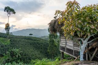 Eco Hotel Glamping El Silencio - 9