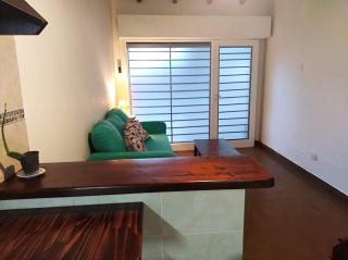 Loft del Centro Mendoza - Mendoza - 5
