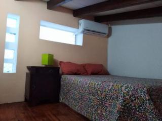 Loft del Centro Mendoza - Mendoza - 2