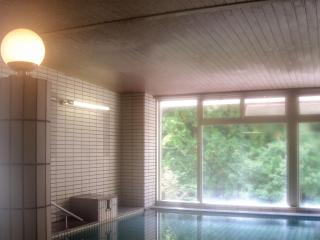 Hotel Nosegawa - Nosegawa - 4