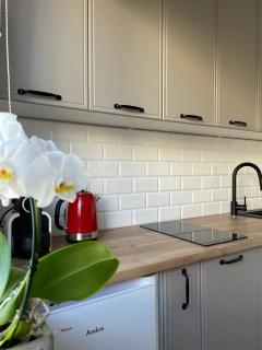Apartament -Dwudziestka - Sandomierz - 0