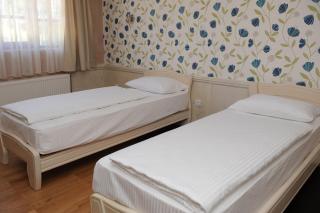Hotel Centar Balasevic - Belgrad - 5
