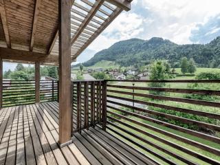 Chalet with 2 apartments in Kirchberg - 7