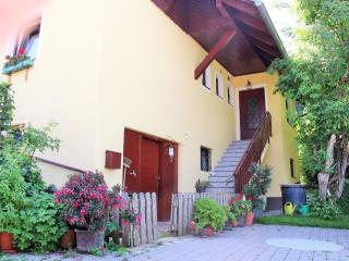 Apartment in Koettmannsdorf near bathing lake - Wurdach - 0