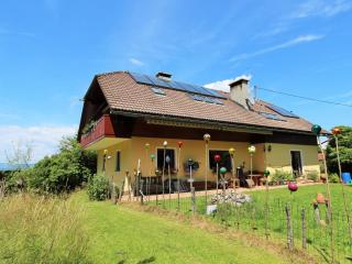 Apartment in Koettmannsdorf near bathing lake - Wurdach - 9