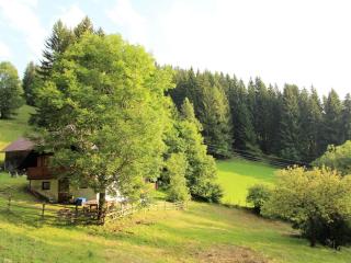 Chalet in Prebl Carinthia with sauna near ski area - Prebl - 4