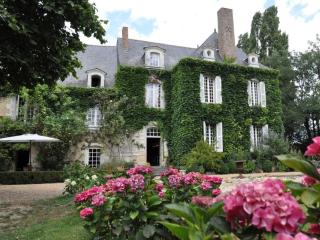 La Marronniere - Cheffes-sur-Sarthe - 0