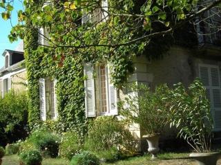 La Marronniere - Cheffes-sur-Sarthe - 6