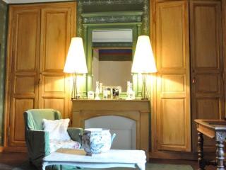 La Marronniere - Cheffes-sur-Sarthe - 3
