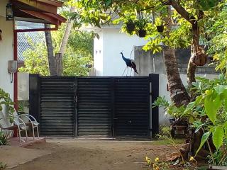 4ty two Homestay Galle - Galle - 4