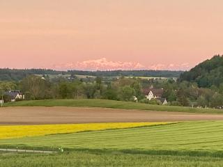 Büsingen am Hochrhein Radfahren, Wandern, Natur geniessen - Busingen am Hochrhein - 1