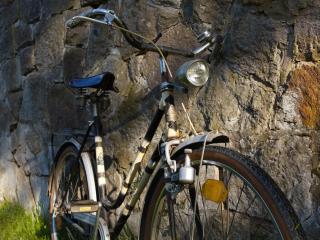 Ferienwohnung Reinette - 1