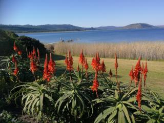 Kairos on the Lake, Swartvlei Lake, Sedgfield, Garden Route - Sedgefield - 8