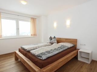 Holiday home Steinfeld close to the ski lift - Zell am Ziller - 1