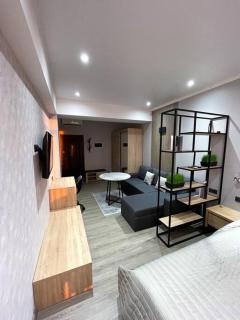 HERMES Cityview Apartment - Chişinău - 5