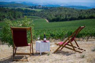 RICASOLI, Capanna di Citerna - 2