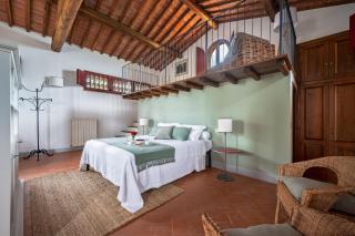 RICASOLI, Capanna di Citerna - 1