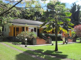 Les Cycas - Saint-Claude - 8