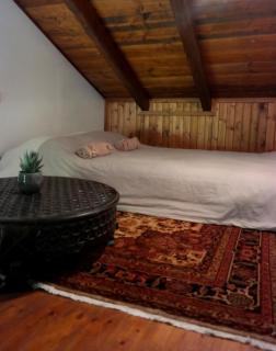 Petradi Residence @ Agoriani-Parnassus - 4