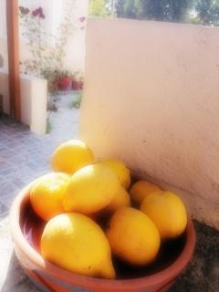 Lemon Tree House - Kalyves - 6