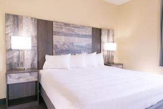 The Stone Castle Hotel & Conference Center - Branson - 8