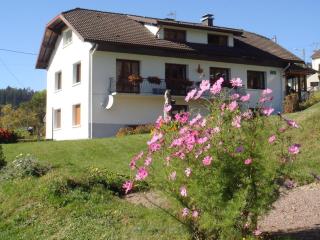 Gîte au pied du Mont - 1