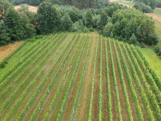 Agroturystyka ROGALA - Młodochów - 2