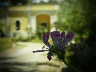 Dimora Relais Excelsa - 1