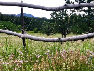 Boulder Best City and Nature with Lake and Trails PETS OK - Boulder - 3