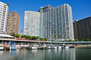 Ilikai Tower 1538 Lagoon View 1BR - Honolulu - 6