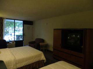 Clarion Inn Orlando International Drive - ICON Park - 8