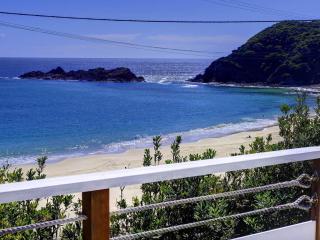 Surf Shack at Boat Beach - Seal Rocks - 1