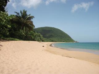 Oasis Grande Anse - 1