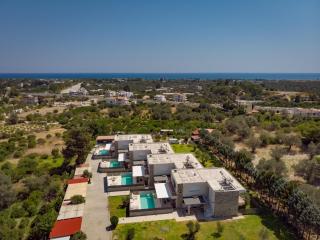 Olive Tree Villas Afandou - Afando - 0