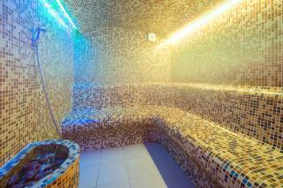 Dolna Bania Hotel - Dolna Banya - 4