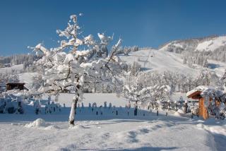 Das Glaagut - Familie Hain - Hochfilzen - 6
