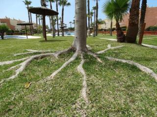 Apartamento en Jardines de Zahara F4A - Zahara de los Atunes - 2