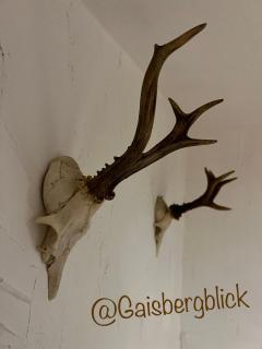 Landgasthof Klausner - Molln - 9