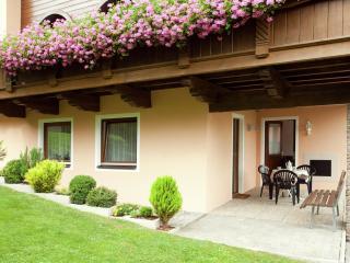 Apartment near the ski area in Sautens - Sautens - 4