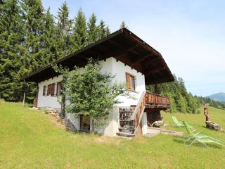 Chalet in Hopfgarten Brixental in ski area - Hopfgarten im Brixental - 0