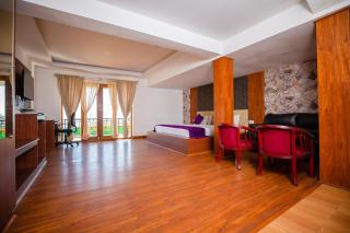 Vista Suites Doddabetta By Bestinn Leisure Ooty - Ooty - 5